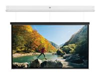 Da-Lite DescenderPro - Projektorduk - takmontering - motoriserad - 230 V - 116.1" (295 cm) - 16:10 - Matte White - RAL 9016 10144799