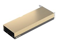 NVIDIA A30 - GPU-beräkningsprocessor - A30 - 24 GB HBM2 - PCIe 4.0 x16 - fläktlös TCSA30M-PB