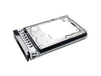 Dell - Hårddisk - 300 GB - hot-swap - 2.5" - SAS 12Gb/s - 15000 rpm - för PowerEdge C6420 (2.5"); Storage NX3240 400-ATII