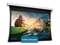 Da-Lite Tensioned DescenderPro - Projektorduk - takmontering - motoriserad - 230 V - 85.83" (218 cm) - 16:9 - HD Progressive 1.1 Contrast - RAL 9016 10106661