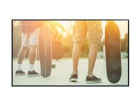 NEC MultiSync MA431 PG-2 - 43" Diagonal klass MA Series LED-bakgrundsbelyst LCD-skärm - digital skyltning - 4K UHD (2160p) 3840 x 2160 - HDR - kantbelysning - svart, pantone 426M 60005854